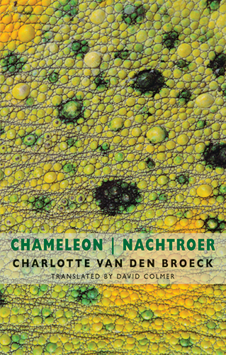 Chameleon Nachtroer