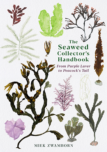 The Seaweed Collector's Handbook