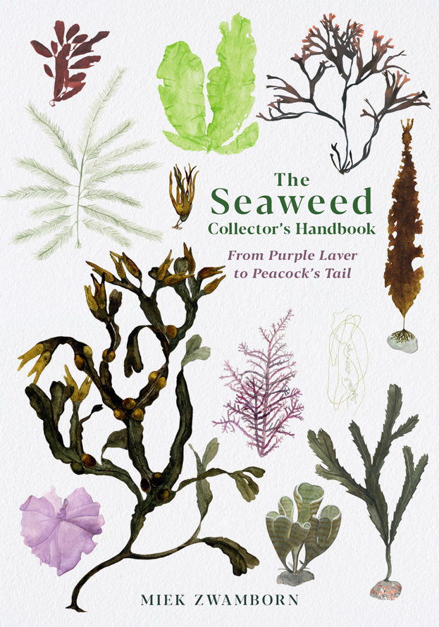 The Seaweed Collector’s Handbook